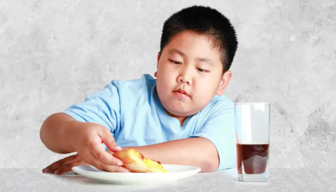 Gut Health in childhood obesity